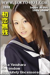 AV���D--�����D��--���S���C���}���R�ۏo���ʐ^�W