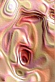 Super Pussy Gallery