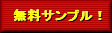 �T���v���C���[�W