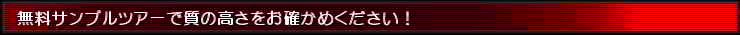 ����ł͓��e���m���߂�T���v���c�A�[�ւǂ����B