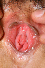 Super Pussy Gallery