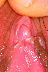 Super Pussy Gallery