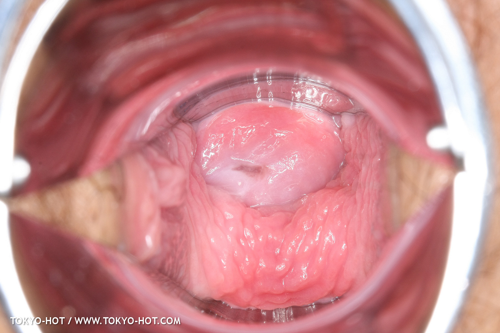 あいりみく Miku Airi 子宮画像館 あいりみく Miku Airi 子宮画像館